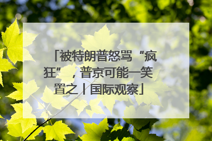 被特朗普怒骂“疯狂”，普京可能一笑置之丨国际观察