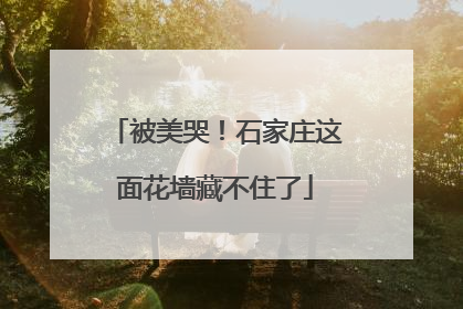 被美哭！石家庄这面花墙藏不住了