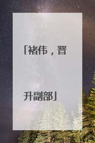 褚伟，晋升副部