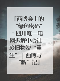 西博会上的“绿色密码”：四川唯一电网拆解中心让废旧物资“重生”｜西博寻“新”记
