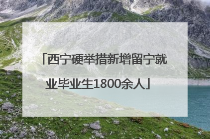 西宁硬举措新增留宁就业毕业生1800余人