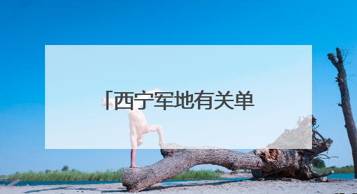 西宁军地有关单位共同走进小学开展未成年人暨军娃保护活动