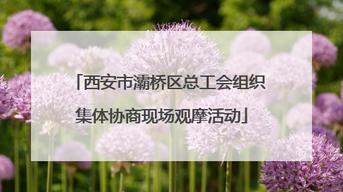 西安市灞桥区总工会组织集体协商现场观摩活动