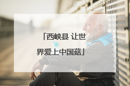 西峡县 让世界爱上中国菇