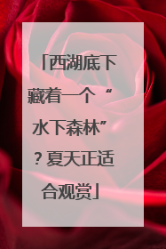 西湖底下藏着一个“水下森林”？夏天正适合观赏