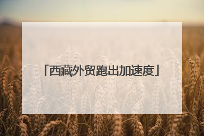 西藏外贸跑出加速度