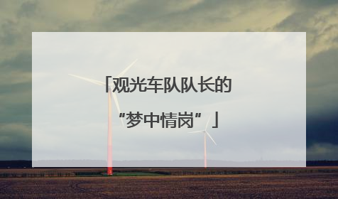 观光车队队长的“梦中情岗”