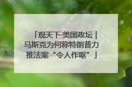 观天下·美国政坛｜马斯克为何称特朗普力推法案“令人作呕”