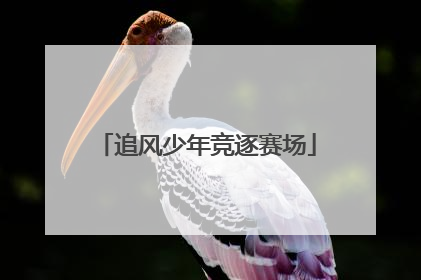 追风少年竞逐赛场