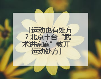 运动也有处方？北京丰台“武术进家庭”教开运动处方