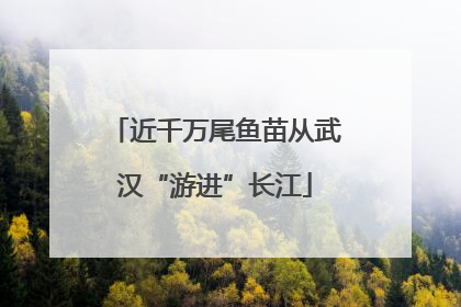 近千万尾鱼苗从武汉“游进”长江