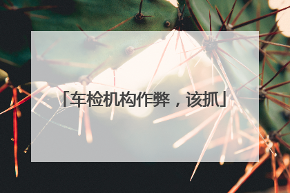 车检机构作弊，该抓