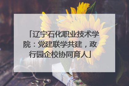 辽宁石化职业技术学院：党建联学共建，政行园企校协同育人