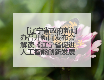 辽宁省政府新闻办召开新闻发布会解读《辽宁省促进人工智能创新发展实施方案》