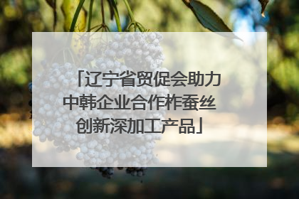 辽宁省贸促会助力中韩企业合作柞蚕丝创新深加工产品