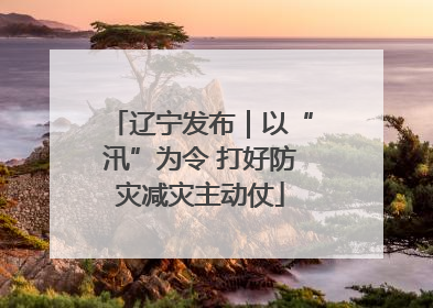 辽宁发布｜以“汛”为令 打好防灾减灾主动仗