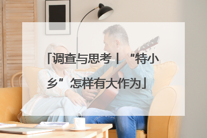 调查与思考丨“特小乡”怎样有大作为