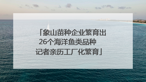 象山苗种企业繁育出26个海洋鱼类品种 记者亲历工厂化繁育