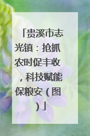 贵溪市志光镇：抢抓农时促丰收，科技赋能保粮安（图）