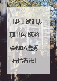 赴美试训表现出色 杨瀚森NBA选秀行情看涨