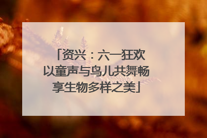 资兴：六一狂欢 以童声与鸟儿共舞畅享生物多样之美