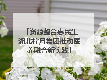 资源整合惠民生 湖北柠月集团推动医养融合新实践