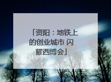 资阳：地铁上的创业城市 闪耀西博会