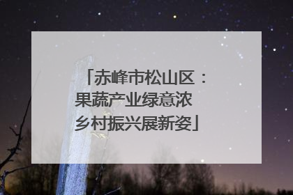 赤峰市松山区：果蔬产业绿意浓 乡村振兴展新姿