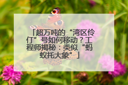 超万吨的“湾区伶仃”号如何移动？工程师揭秘：类似“蚂蚁托大象”