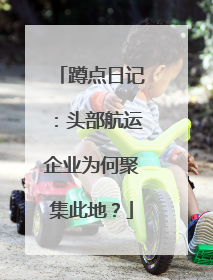 蹲点日记：头部航运企业为何聚集此地？