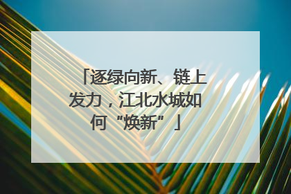 逐绿向新、链上发力，江北水城如何“焕新”