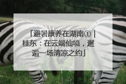 避暑康养在湖南①｜桂东：在云端仙境，邂逅一场清凉之约