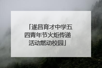 遂昌育才中学五四青年节火炬传递活动燃动校园
