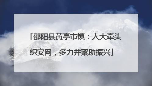 邵阳县黄亭市镇：人大牵头织安网，多力并聚助振兴
