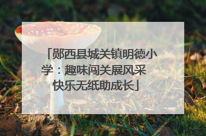 郧西县城关镇明德小学：趣味闯关展风采 快乐无纸助成长