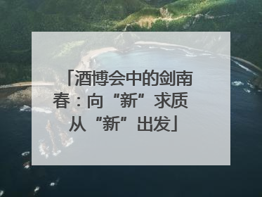 酒博会中的剑南春：向“新”求质 从“新”出发