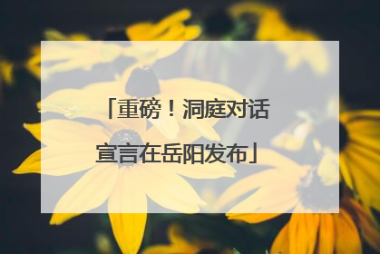 重磅！洞庭对话宣言在岳阳发布