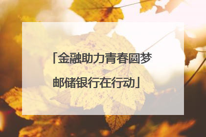 金融助力青春圆梦邮储银行在行动