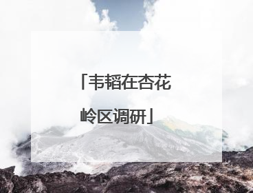 韦韬在杏花岭区调研