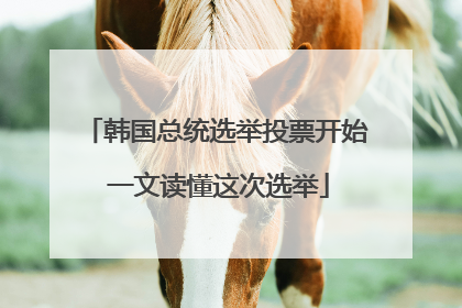 韩国总统选举投票开始 一文读懂这次选举