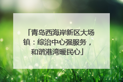 青岛西海岸新区大场镇：综治中心强服务，和谐港湾暖民心