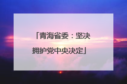青海省委：坚决拥护党中央决定