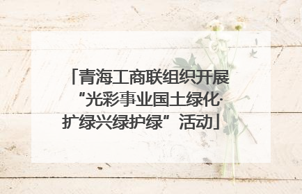 青海工商联组织开展“光彩事业国土绿化·扩绿兴绿护绿”活动