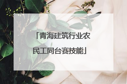 青海建筑行业农民工同台赛技能