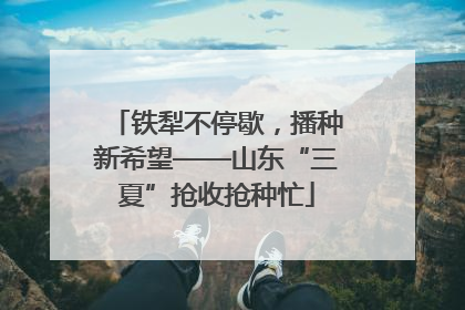 铁犁不停歇，播种新希望——山东“三夏”抢收抢种忙