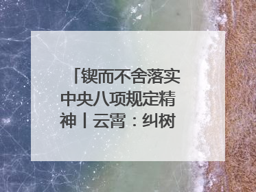 锲而不舍落实中央八项规定精神丨云霄：纠树并举扬正气 作风建设谱新章