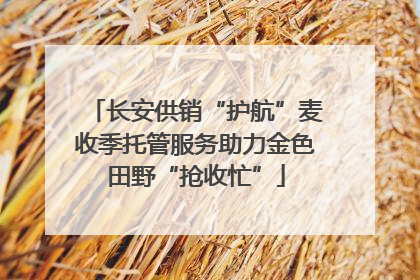 长安供销“护航”麦收季托管服务助力金色田野“抢收忙”