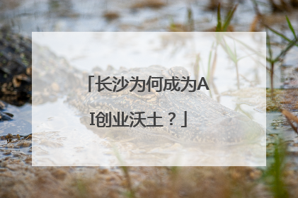 长沙为何成为AI创业沃土？