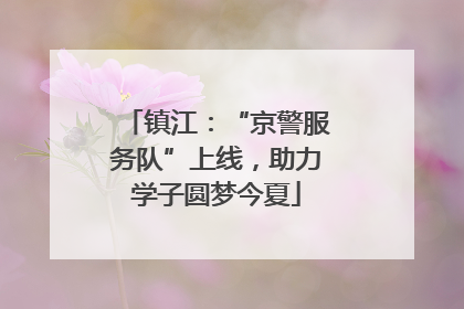 镇江：“京警服务队”上线，助力学子圆梦今夏