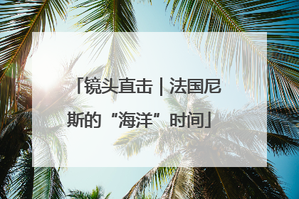 镜头直击｜法国尼斯的“海洋”时间